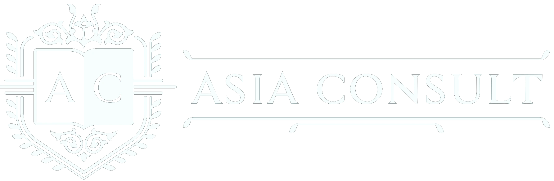 Asia Consult